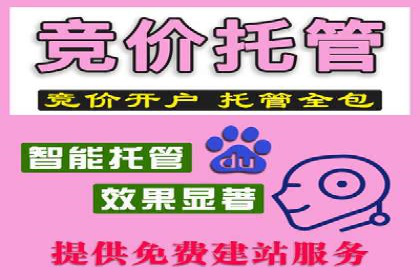 SEM托管服务助力企业突破：成功案例解读